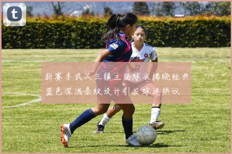 新赛季武汉三镇主场球衣揭晓经典蓝色深浅条纹设计引发球迷热议